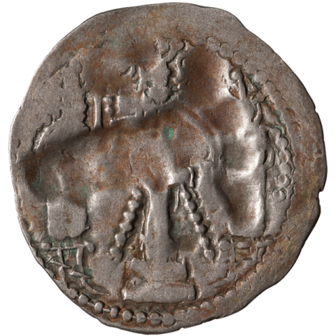 Rückseite, Drachme (Silber) eines unbekannten Alchan-Königs mit künstlich deformiertem Schädel