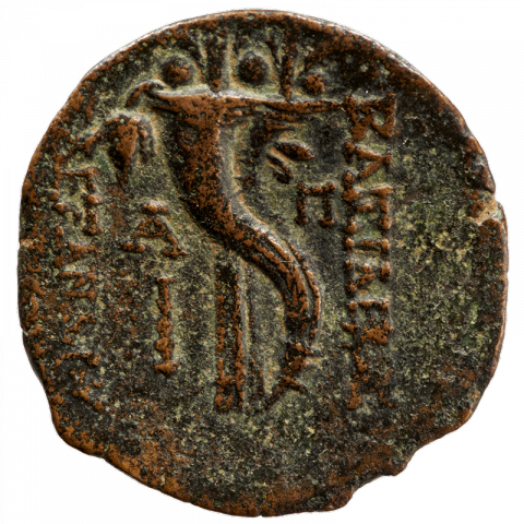 Cornucopia, left: club; Greek: BAΣIΛEΩΣ / AΛEΞANΔPOY; A - Π ([coin of] king Antiochos)