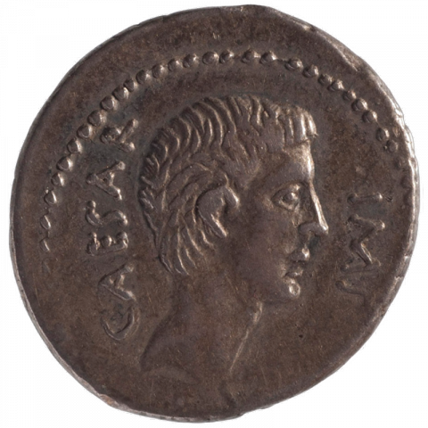Büste des Octavian; Lateinisch: CAESAR - IMP (Caesar Imperator)