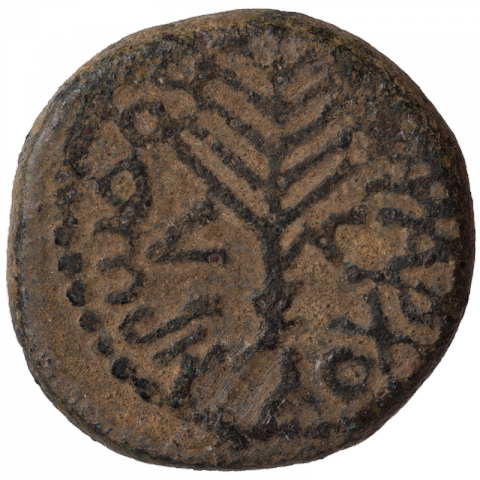 Palm leaf; Greek: HPWΔΟΥ ΤΕΤΡΑΡΧΟΥ; L ΛΓ ([coin of] Tetrarch Herod, year 3)