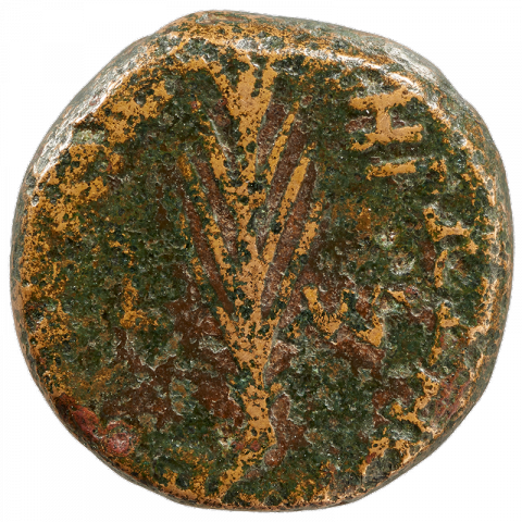 Date palm; Greek: HPWΔΟΥ ΤΕΤΡΑΡΧΟΥ, ETOC MΓ ([coin of] Herod the Tetrarch, year 43)