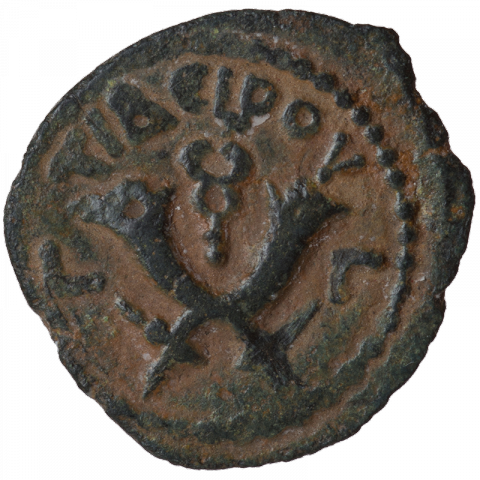 Double cornucopias, between: caduceus; Greek: TIBEPIOY, L Γ (year 3 of Tiberius)