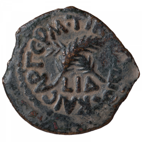 Two palm leafs; Greek: TI KΛAYΔIOC KAICAP ΓEPM, L IΔ (Tiberius Claudius Caesar Germanicus, year 14)