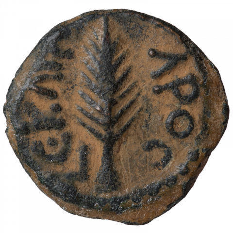 Palm leaf; Greek: L E KAICAPOC (year 5 of Caesar)