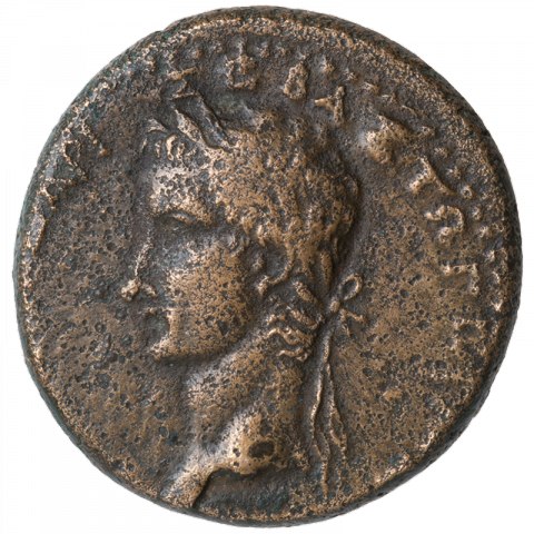 Bust of Caligula facing left; Greek: ΓΑΙΩ ΚΑΙCΑΡΙ ΣΕΒΑΣΤΩ ΓΕΡΜΑΝΙΚΩ (to Caius Caesar Augustus Germanicus)