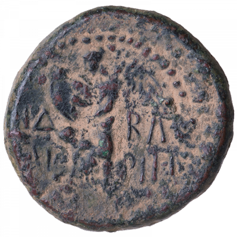 Nike inscribing a shield; Greek: L IΔ - BA / AΓ - ΡΙΠO (year 14, king Agrippa)