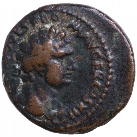 Bust of Domitian; Latin: IM CA D VES F DOM AV GER COS XII (abbrev. Imperator Caesar, son of the divine Vespasian, Domitian Augustus Germanicus, for the 12th time Consul)