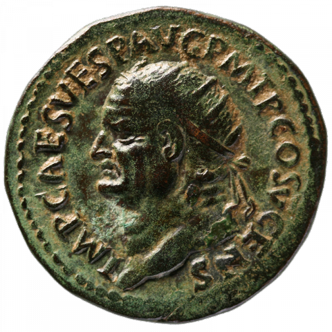 Bust of Vespasian, radiate, facing left; Latin: IMP CAES VESP AVG PM TRP COS V CENS (Imperator Caesar Vespasian Augustus Pontifex Maximus Tribunicia Potestas, for the 5th time Consul, Censor)