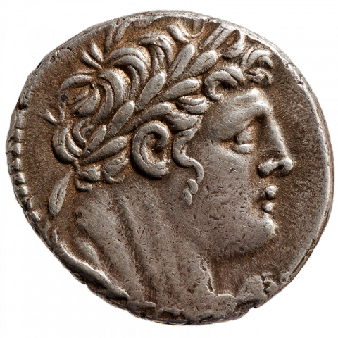 Head of Melqart/Hercules with laurel wreath, lion skin around his shoulders