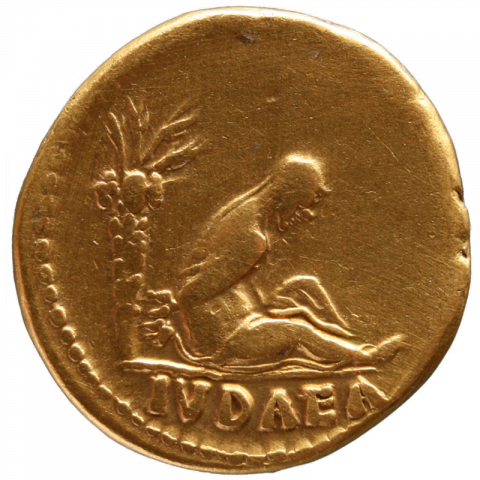 Trauernde Judäa (?) sitzt mit gefesselten Händen nach rechts neben einer Dattelpalme; Lateinisch: IVDAIA