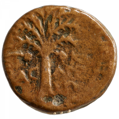 Palmtree; Greek: (ET KE, BAC AΓΡΙΠ) (year 25, king Agrippa)