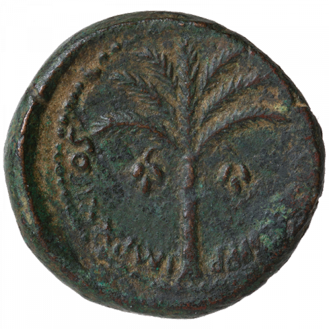 Date palm; Latin: IMP XXI COS XVI CENS PPP (Imperator for the 21st time, Consul for the 16th time, Censor for ever)