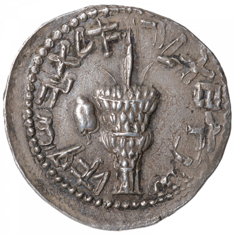 Bunch of Lulav; left: Etrog-fruit; Paleo-Hebrew: ŠNT HḤT LGWLT YSR’L (year 1 for the redemption of Israel)