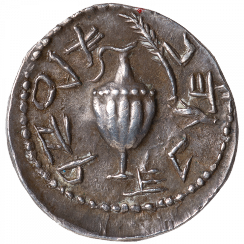 Jug, palm leaf; Paleo-Hebrew: LHRWT YRWŠLM (for the freedom of Jerusalem)