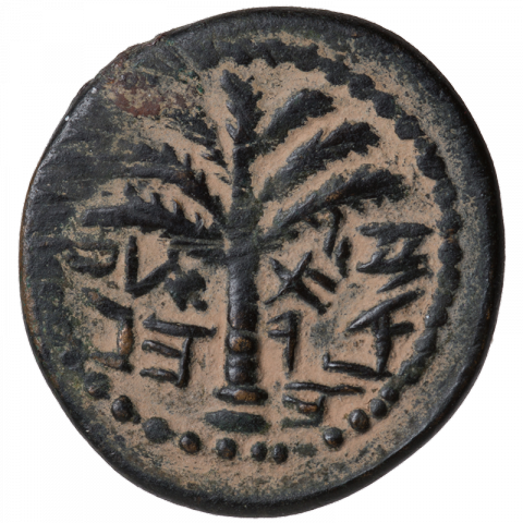 Palm tree; Paleo-Hebrew: ‘L’ZR HKHN (Eleazar, the priest)