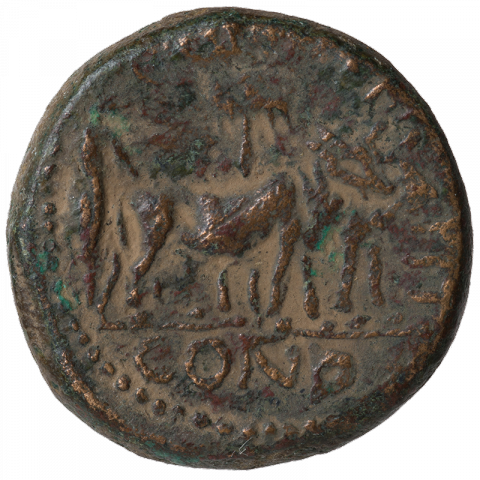 Stadtgründungsszene: Hadrian pflügt mit Ochse und Kuh das Pomerium; Lateinisch: COL AEL KAPIT // [C]OND (Colonia Aelia Capitolina gegründet)