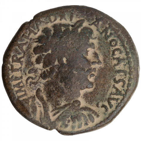 Bust of Hadrian with laurel wreath, draped; Latin: IMP TRA HADRIANO CAES AVG (Imperator Traian Hadrian Caesar Augustus)