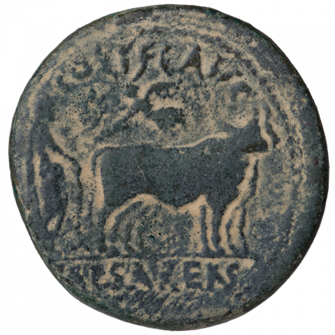 Stadtgründungsszene: Hadrian pflügt mit Ochse und Kuh das Pomerium; Lateinisch: COL • I • FL AVG // CAESARENS (Abk. Erste Colonia Flavia Augusta Caesarea)