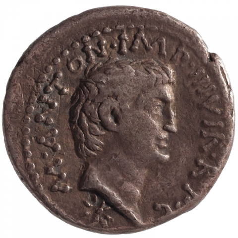 Büste des Markus Antonius nach rechts; Lateinisch: M•ANTON•IMP•III•VIR•R•P•C (Abgek. Marcus Antonius Imperator Tresvir Rei Publicae Constituendae)