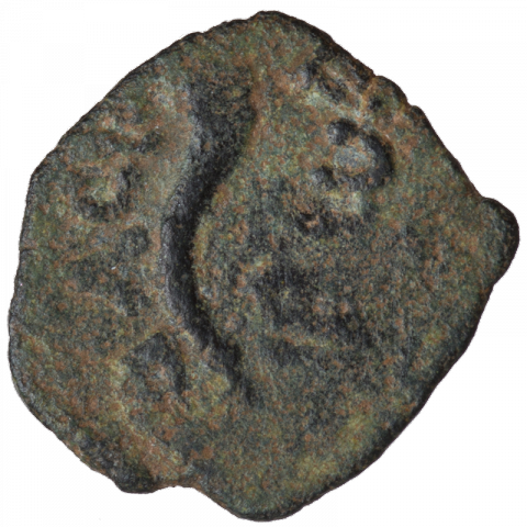 Cornucopia; Greek: HΡΩΔ.. ΒΑCI.. ([coin of] king Herod)
