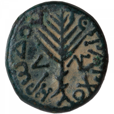 Palm leaf; Greek: HPWΔΟΥ ΤΕΤΡΑΡΧΟΥ, L ΛΓ ([coin of] Herod the Tetrarch, year 3)
