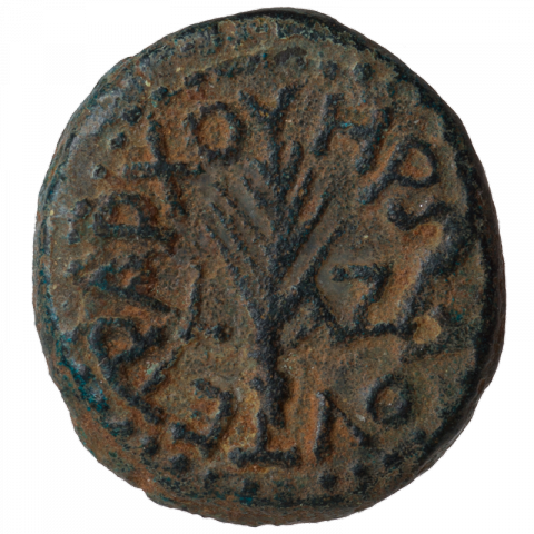 Palm leaf; Greek: HPWΔΟΥ ΤΕΤΡΑΡΧΟΥ, L ΛΓ ([coin of] Herod the Tetrarch, year 3)