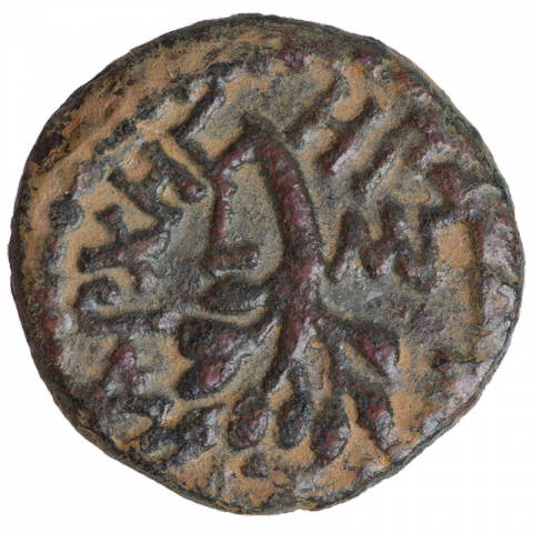 Date palm leaf; Greek: HPWΔHC ΤΕΤΡΑΡΧHC, L - MΓ ([coin of] Herod the Tetrarch, year 43)