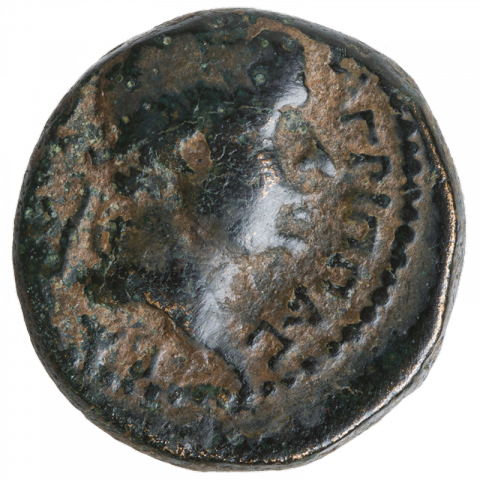 Büste des Agrippa I.; Griechisch: [ΒΑCIΛΕVC] AΓΡΙΠΠΑC (König Agrippa)