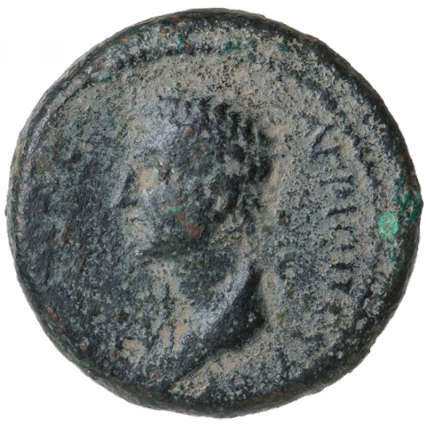 Büste des Agrippa II.; Griechisch: ΑΓΡΙΠΠΟΥ ΥΙΟΥ ΒΑCΙΛΕΩΣ (Sohn des Königs Agrippa)