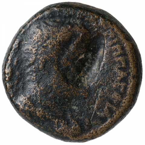 Bust of Herod Agrippa I; Greek: ΒΑCIΛΕΥC ΜΑΓΑC ΑΓΡΙΠΠAC ΦΙΛΟΚΑΙCΑΡ (mighty king Agrippa, friend of Caesar)