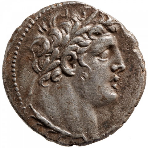 Head of Melqart/Hercules with laurel wreath, lion skin around his shoulders
