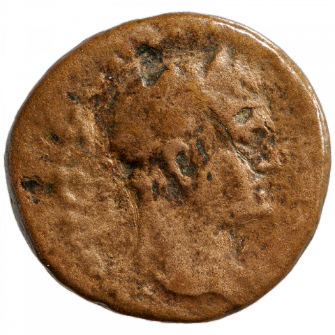 Büste des Domitian mit Lorbeerkranz; Griechisch: (ΔΟΜEΤ ΚΑΙ C ΓEΡMA) (Domitian Caesar Germanicus)