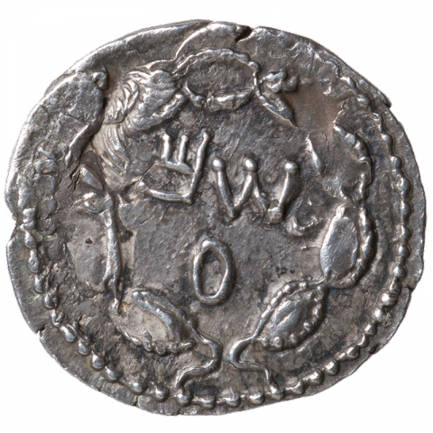Kranz (darunter Reste des Untergepräges: Kopf des Hadrian); Paläo-Hebräisch: ŠM (Shim)