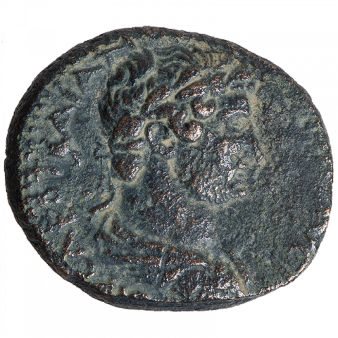 Bust of Hadrian with laurel wreath, draped; Latin: [IMP] CAES TRAIANO [HADRIANO AVG PP] (to Imperator Caesar Traian Hadrian Augustus Pater Patriae)